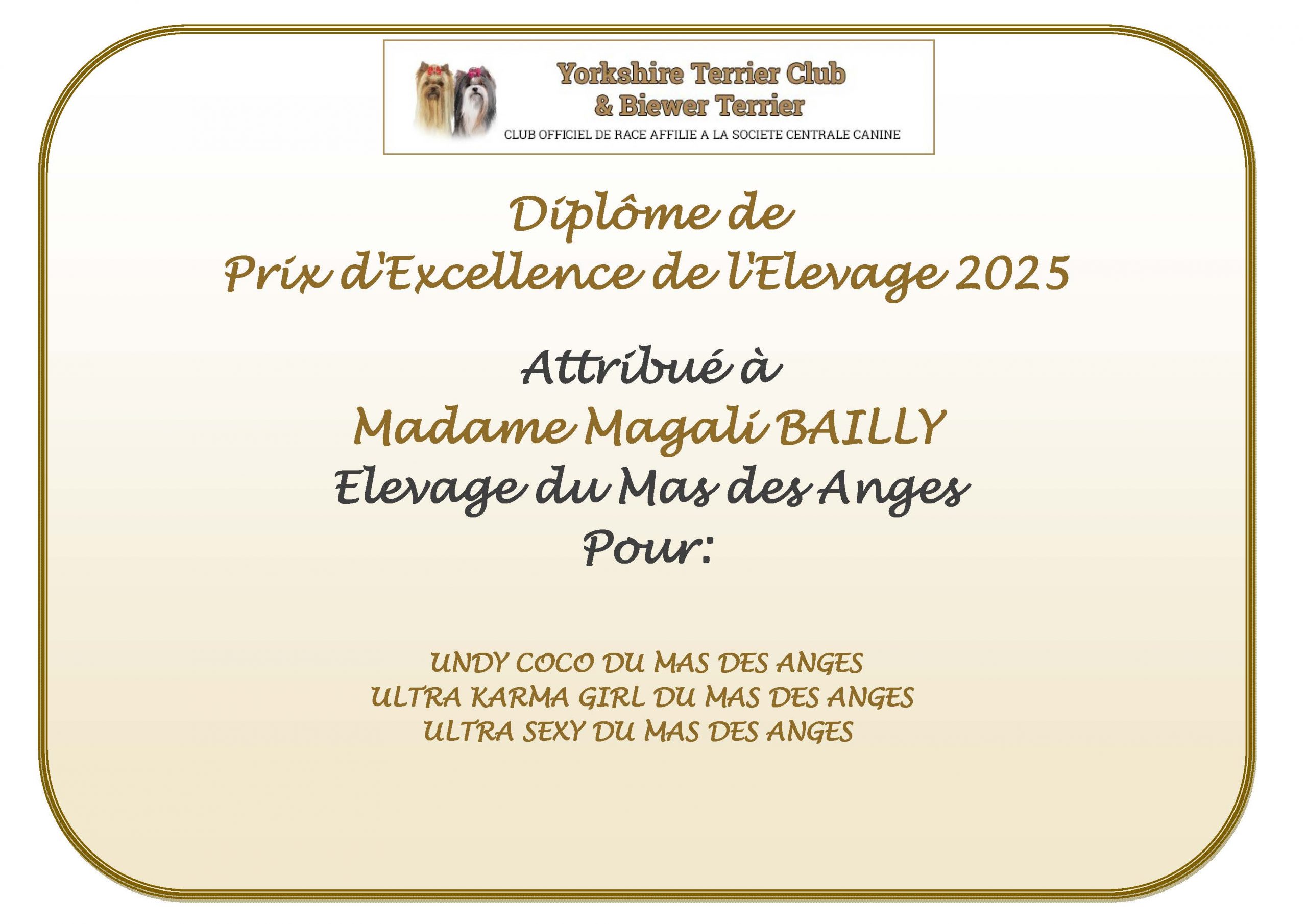 DIPLOME prix excellence 2025 MAGALI