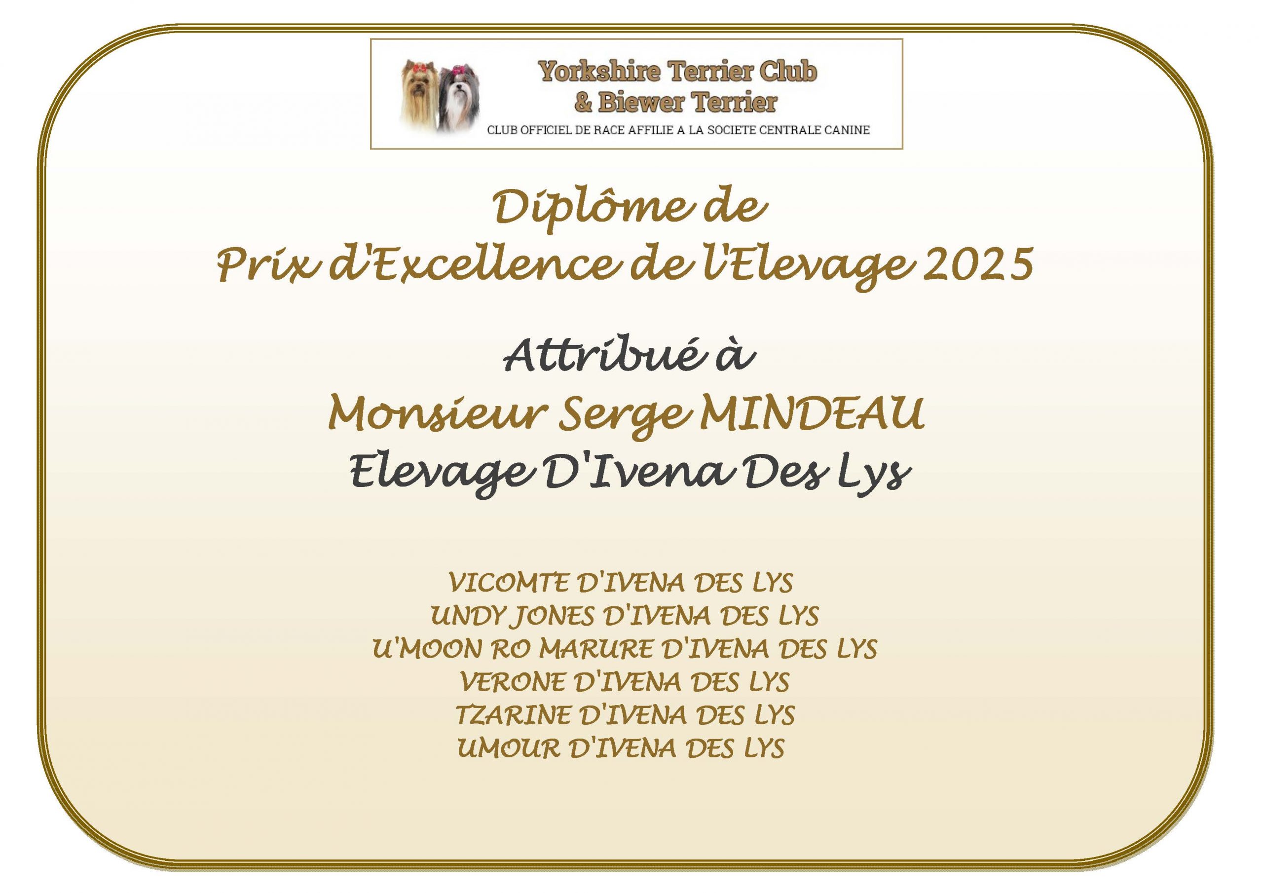 DIPLOME prix excellence 2025 MINDEAU