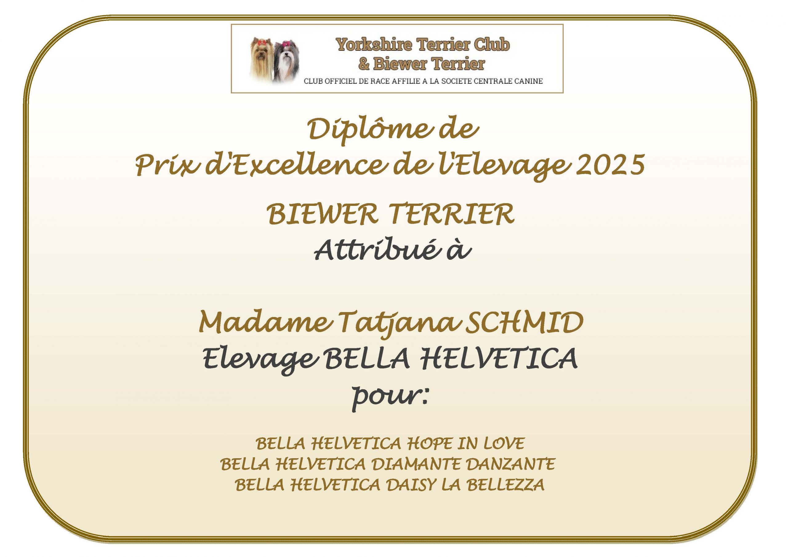 DIPLOME prix excellence 2025 biewer TATJANA