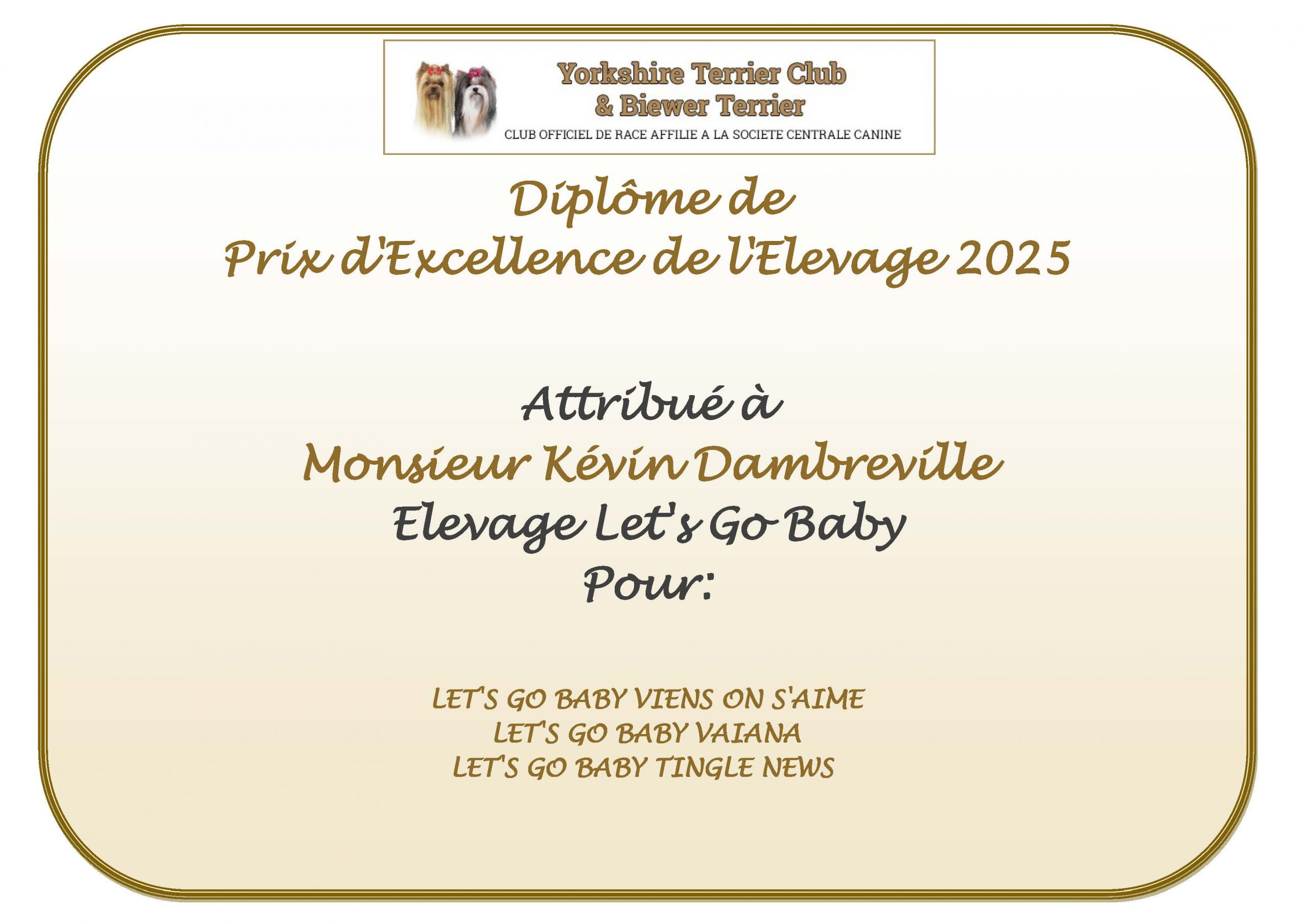 DIPLOME prix excellence 2025 kevin