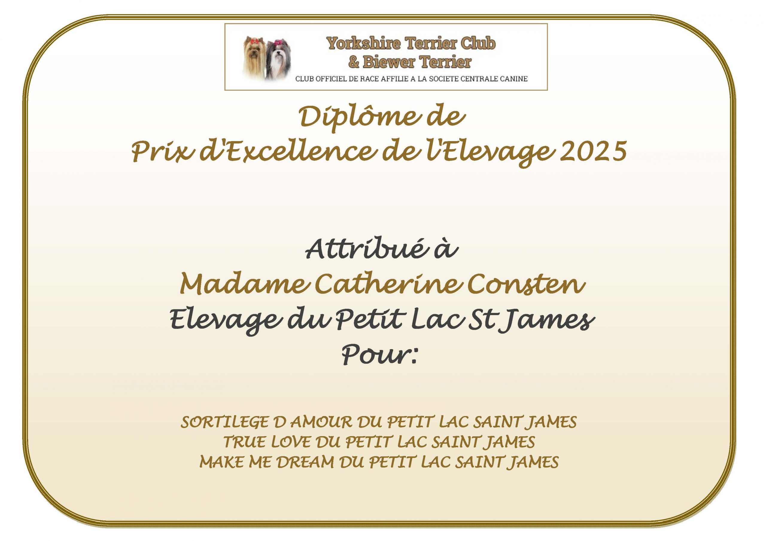 DIPLOME prix excellence 2025 mme consten
