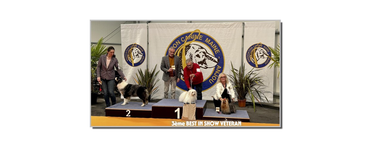 584490698_2570549049991923_4430848555614235114_n