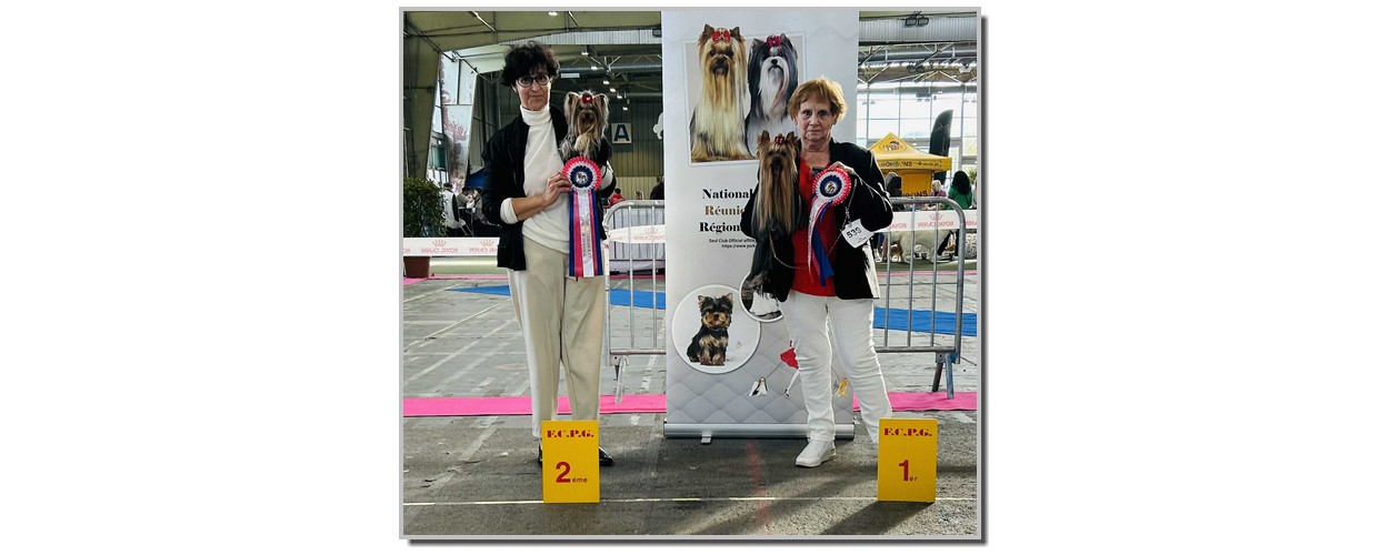 att.eTi2b3WKo21jQV_TLoYuEiUuwWwm2tk7dxboxR5Ix9M