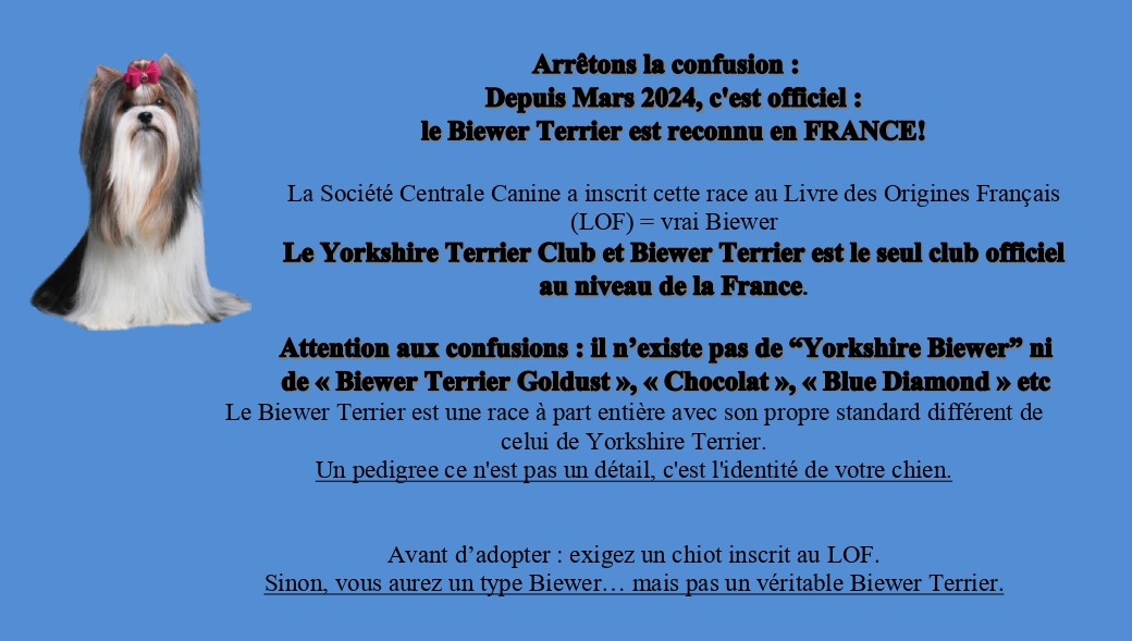 Arrêtons la confusion_page-0001 (1)