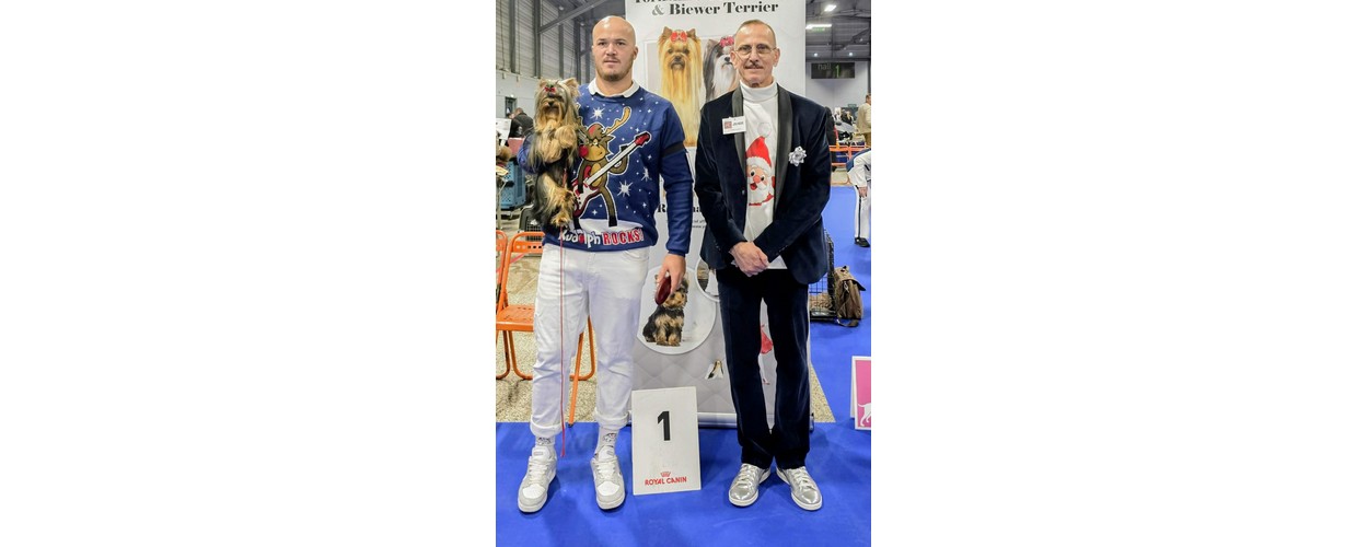 Messenger_creation_475CE0CD-F62E-4809-8C73-424B5E5A72AE