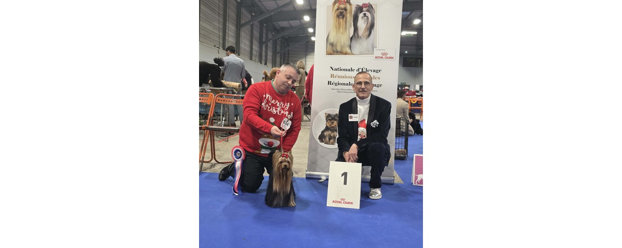 Messenger_creation_56385C2D-457B-4B9F-B113-9CD53AC7C174