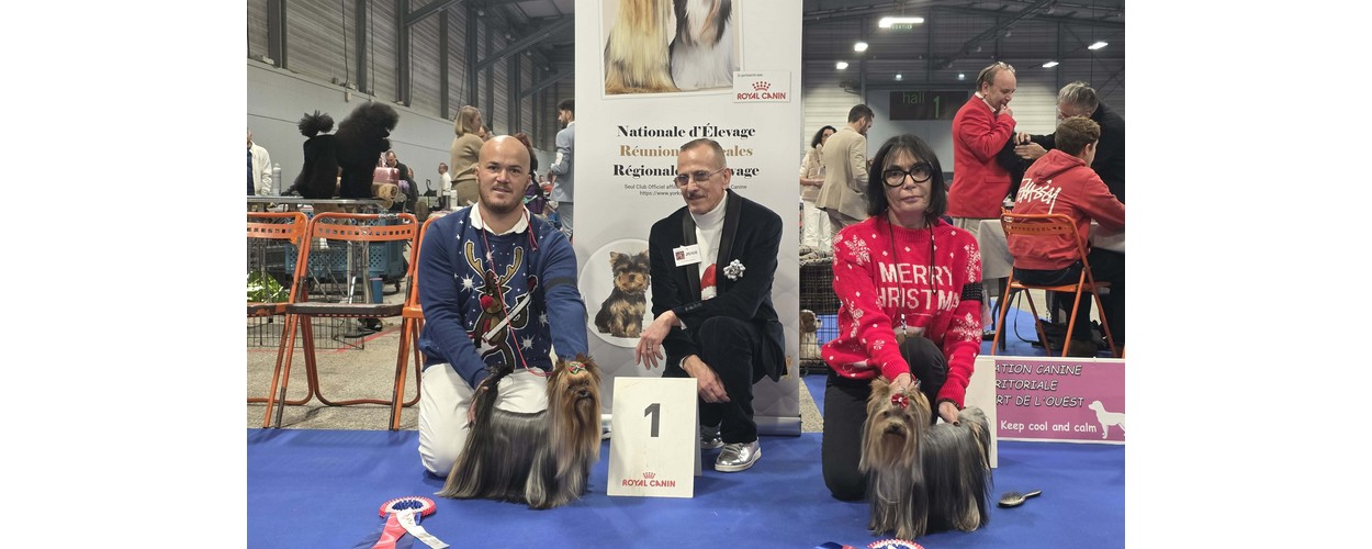 Messenger_creation_5BCEE652-129C-4A22-B7B9-0AB0A8DC63D0