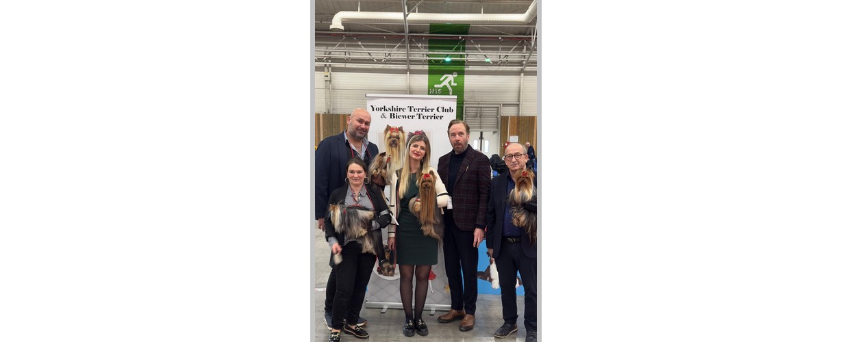 2315278a-57b6-489f-b34d-0e24a8d68f6c