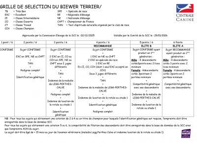 03 GRILLE DU BIEWER TERRIER_page-0001 03 GRILLE DU BIEWER TERRIER_page-0001