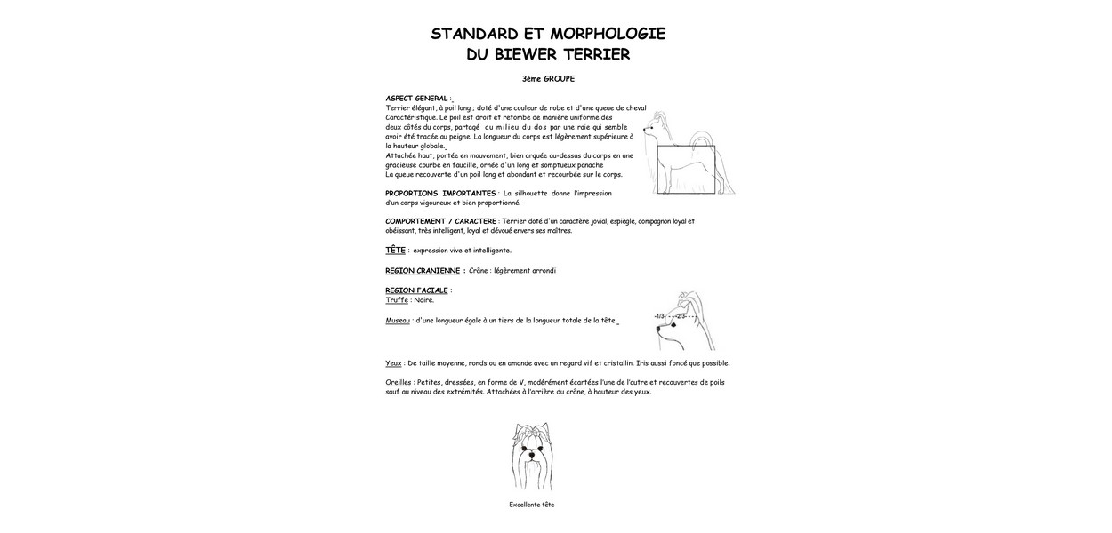 STANDARD ET MORPHOLOGIE biewer terrier JUIN 2025_pages-to-jpg-0001
