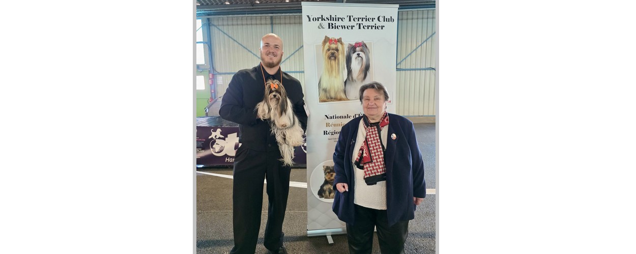 att.YVx34l3ZPLiSe3JMzkNW-Bhwkuy7qu6Eo0dd6NfQwig