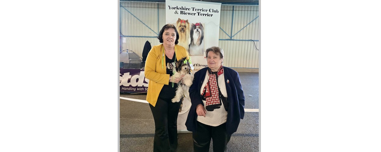 att.sG8itE8Ep19K0Fd2-IfpYt_GKQW8YDrrfJRIP5NULE4