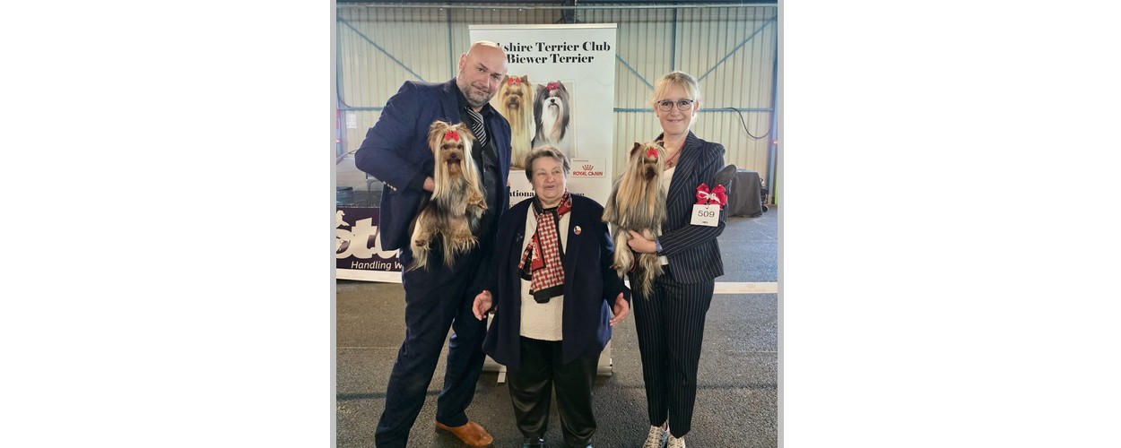 att.wv8iTV9WIPf9sT_irWc9d4QKj3k6MvlhwHty2yt0R68