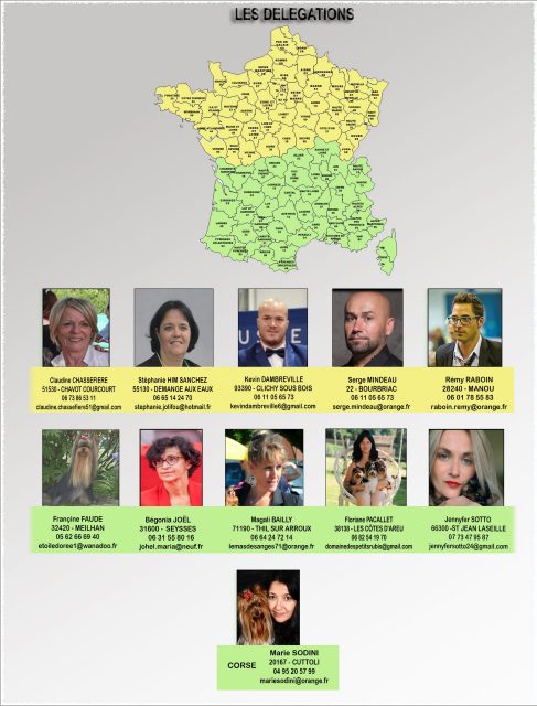 21 juillet 2026 copie
