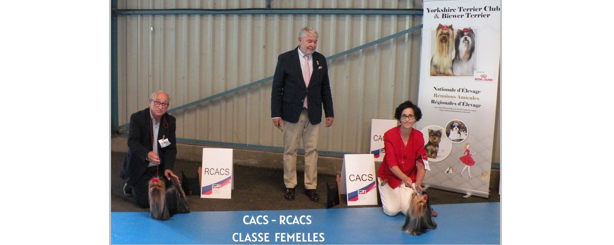 CAC RCAC FEMELLES COPIE
