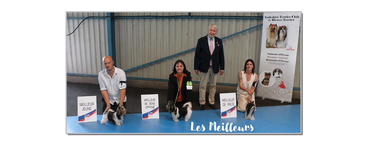 LES MEILLEURS