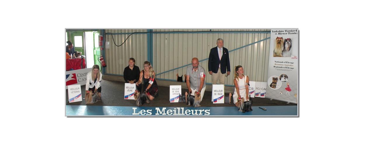 LES MEILLEURs copie