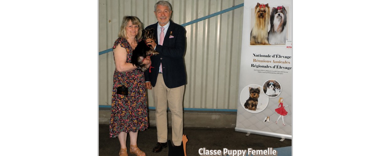 PUPPY FEMELLE MEILLEUR PUPPY