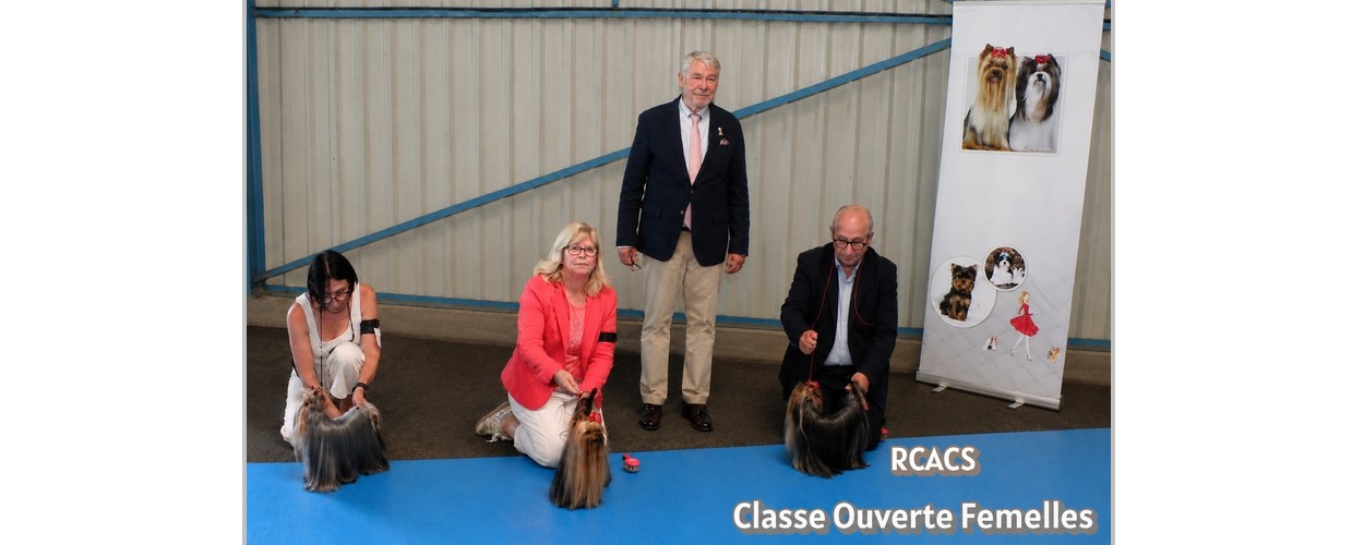 ouverte femelles copie