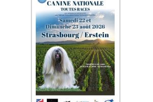 COUVERTURE STRASBOURG